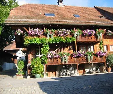 Liechti Blumen 2* Wattenwil