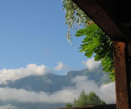 Liechti Wattenwil
