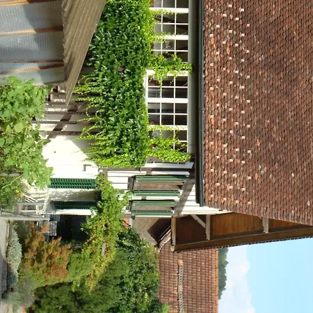 Liechti Blumen Bed and Breakfast 2*